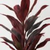 Artificial Tree Red cycas tree in PP pot 25 lvs GS-30423030_4 Artificial Tree 55*55*80cm Red cycas tree in PP pot/25 lvs GS-30423030 Tree&Plant YeahFlower is one of Chinese leading OEM manufacturers and exporters , supplying the silk flowers, wholesale artificial trees