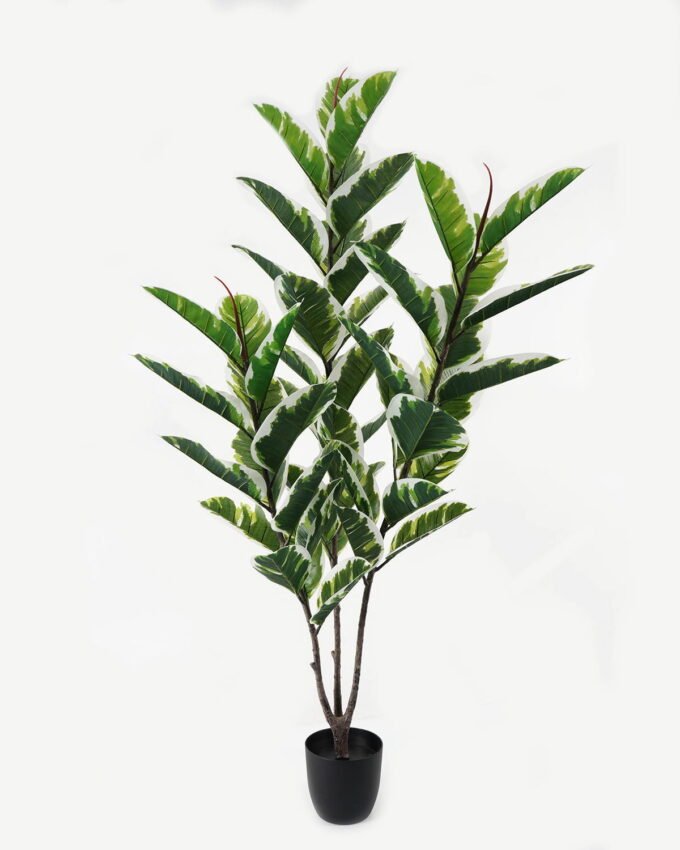 Artificial Tree 60*60*160cm Rubber tree *3 in PP pot/51 lvs GS-30423005 Tree&Plant YeahFlower is one of Chinese leading OEM manufacturers and exporters , supplying the silk flowers, wholesale artificial trees
