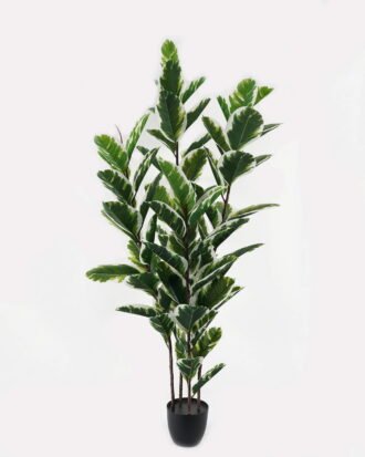 Artificial Tree 75*75*180cm Rubber tree *4 in PP pot/85 lvs GS-30423004 Tree&Plant YeahFlower is one of Chinese leading OEM manufacturers and exporters , supplying the silk flowers, wholesale artificial trees Artificial Tree 75*75*180cm Rubber tree *4 in PP pot/85 lvs GS-30423004 Tree&Plant YeahFlower is one of Chinese leading OEM manufacturers and exporters , supplying the silk flowers, wholesale artificial trees