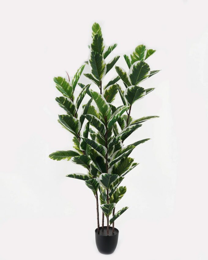 Artificial Tree 75*75*180cm Rubber tree *4 in PP pot/85 lvs GS-30423004 Tree&Plant YeahFlower is one of Chinese leading OEM manufacturers and exporters , supplying the silk flowers, wholesale artificial trees