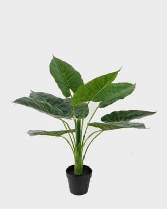 Artificial Tree 65*65*63cm Taro leaf in PP pot//9 lvs GS-59523013 Tree&Plant YeahFlower is one of Chinese leading OEM manufacturers and exporters , supplying the silk flowers, wholesale artificial trees Artificial Tree 65*65*63cm Taro leaf in PP pot//9 lvs GS-59523013 Tree&Plant YeahFlower is one of Chinese leading OEM manufacturers and exporters , supplying the silk flowers, wholesale artificial trees