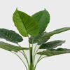 Artificial Tree Taro leaf in PP pot 9 lvs GS-59523013_2 Artificial Tree 65*65*63cm Taro leaf in PP pot//9 lvs GS-59523013 Tree&Plant YeahFlower is one of Chinese leading OEM manufacturers and exporters , supplying the silk flowers, wholesale artificial trees