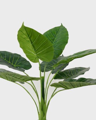 Artificial Tree 65*65*63cm Taro leaf in PP pot//9 lvs GS-59523013 Tree&Plant YeahFlower is one of Chinese leading OEM manufacturers and exporters , supplying the silk flowers, wholesale artificial trees Artificial Tree 65*65*63cm Taro leaf in PP pot//9 lvs GS-59523013 Tree&Plant YeahFlower is one of Chinese leading OEM manufacturers and exporters , supplying the silk flowers, wholesale artificial trees
