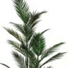 Artificial Tree Tree 3 in PP pot 21 lvs GS-30423027_2 Artificial Tree 71*71*118cm Tree *3 in PP pot/21 lvs GS-30423027 Tree&Plant YeahFlower is one of Chinese leading OEM manufacturers and exporters , supplying the silk flowers, wholesale artificial trees