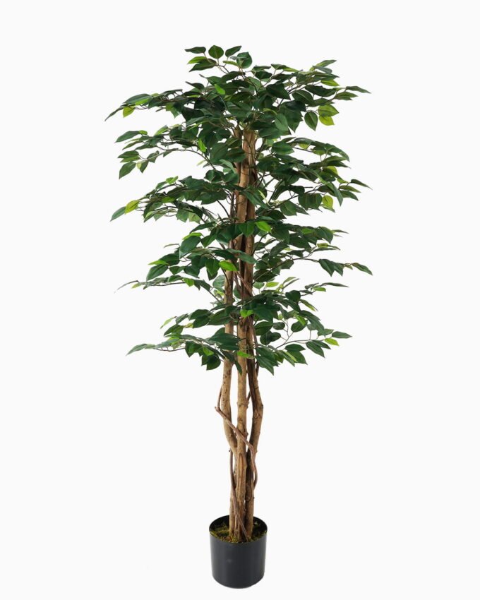 Artificial Tree Tree in PP pot lvs 720 GS-30623011_5 Artificial Tree 60*60*130cm Tree in PP pot/lvs 720 GS-30623011 Tree&Plant YeahFlower is one of Chinese leading OEM manufacturers and exporters , supplying the silk flowers, wholesale artificial trees