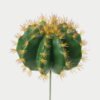 Artificial succulent 25*25*18cm Ball cactus cactus GS-69223001 Succulent YeahFlower is one of Chinese leading OEM manufacturers and exporters , supplying the silk flowers, wholesale artificial trees