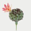 Artificial succulent 8*8*8cm Ball cactus cactus GS-69223004 Succulent YeahFlower is one of Chinese leading OEM manufacturers and exporters , supplying the silk flowers, wholesale artificial trees