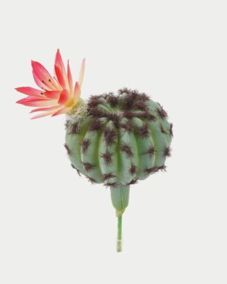 Artificial succulent 8*8*8cm Ball cactus cactus GS-69223004 Succulent YeahFlower is one of Chinese leading OEM manufacturers and exporters , supplying the silk flowers, wholesale artificial trees