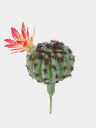 Artificial succulent 25*25*18cm Ball cactus cactus GS-69223001 Succulent 3,000+ sqm showroom with thousands of artificial flowers, plants & trees ready for global sourcing.