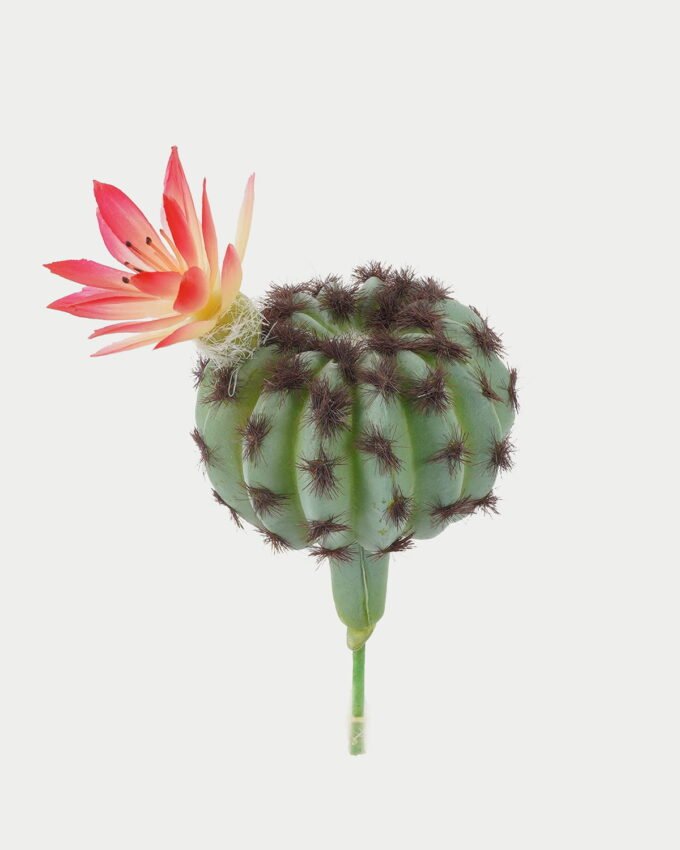 Artificial succulent 8*8*8cm Ball cactus cactus GS-69223004 Succulent YeahFlower is one of Chinese leading OEM manufacturers and exporters , supplying the silk flowers, wholesale artificial trees