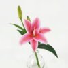 Artificial Flower 26cm Single lily in the glass GS-06923003-R1 Potted Flowers&Plants YeahFlower is one of Chinese leading OEM manufacturers and exporters , supplying the silk flowers, wholesale artificial trees