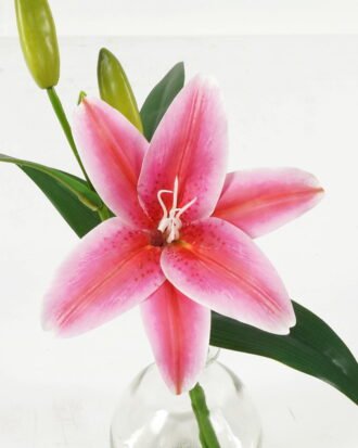 Artificial Flower 26cm Single lily in the glass GS-06923003-R1 Potted Flowers&Plants YeahFlower is one of Chinese leading OEM manufacturers and exporters , supplying the silk flowers, wholesale artificial trees