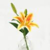 Artificial Flower 26cm Single lily in the glass GS-06923003 Potted Flowers&Plants YeahFlower is one of Chinese leading OEM manufacturers and exporters , supplying the silk flowers, wholesale artificial trees