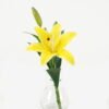 Artificial Flower 26cm Single lily in the glass GS-06923003 Potted Flowers&Plants YeahFlower is one of Chinese leading OEM manufacturers and exporters , supplying the silk flowers, wholesale artificial trees