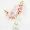 Artificial Flower 27cm Phalaenopsis 2 in the glass GS-06923007-P1_1 Artificial Flower 27cm Phalaenopsis *2 in the glass GS-06923007-P1 Potted Flowers&Plants YeahFlower is one of Chinese leading OEM manufacturers and exporters , supplying the silk flowers, wholesale artificial trees