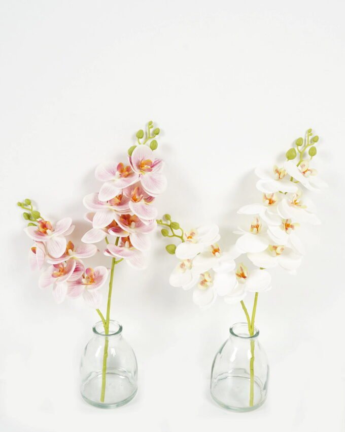 Artificial Flower 27cm Phalaenopsis 2 in the glass GS-06923007-P1_4 Artificial Flower 27cm Phalaenopsis *2 in the glass GS-06923007-P1 Potted Flowers&Plants YeahFlower is one of Chinese leading OEM manufacturers and exporters , supplying the silk flowers, wholesale artificial trees