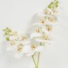 Artificial Flower 27cm Phalaenopsis *2 in the glass GS-06923007-W1 Potted Flowers&Plants YeahFlower is one of Chinese leading OEM manufacturers and exporters , supplying the silk flowers, wholesale artificial trees
