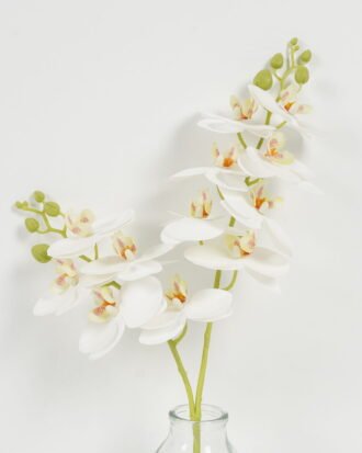 Artificial Flower 27cm Phalaenopsis *2 in the glass GS-06923007-W1 Potted Flowers&Plants YeahFlower is one of Chinese leading OEM manufacturers and exporters , supplying the silk flowers, wholesale artificial trees