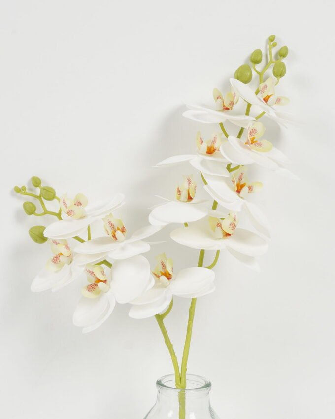 Artificial Flower 27cm Phalaenopsis *2 in the glass GS-06923007-W1 Potted Flowers&Plants YeahFlower is one of Chinese leading OEM manufacturers and exporters , supplying the silk flowers, wholesale artificial trees