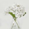 Artificial Flower 29cm Hydrangea 2 single steam in the glass GS-06923008-W1_1 Artificial Flower 29cm Hydrangea *2 single steam in the glass GS-06923008-W1 Potted Flowers&Plants YeahFlower is one of Chinese leading OEM manufacturers and exporters , supplying the silk flowers, wholesale artificial trees