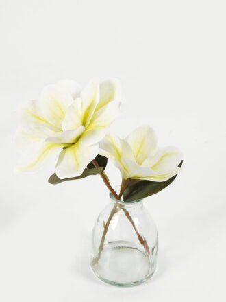 Artificial Table Plants 28*28*47cm Green leaf *2 in PP pot GS-69423025 Potted Flowers&Plants 3,000+ sqm showroom with thousands of artificial flowers, plants & trees ready for global sourcing.