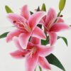 Artificial Flower 35cm Lily 3 in the glass GS-06923004-R1 Artificial Flower 35cm Lily*3 in the glass GS-06923004-R1 Potted Flowers&Plants YeahFlower is one of Chinese leading OEM manufacturers and exporters , supplying the silk flowers, wholesale artificial trees