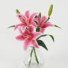 Artificial Flower 35cm Lily 3 in the glass GS-06923004-R1_5 Artificial Flower 35cm Lily*3 in the glass GS-06923004-R1 Potted Flowers&Plants YeahFlower is one of Chinese leading OEM manufacturers and exporters , supplying the silk flowers, wholesale artificial trees