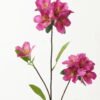 Artificial Flower Azalea 3 single stem GS-53623002-R2_1 Artificial Flower 30*30*85cm Azalea *3 single stem GS-53623002-R2 Single Flowers YeahFlower is one of Chinese leading OEM manufacturers and exporters , supplying the silk flowers, wholesale artificial trees