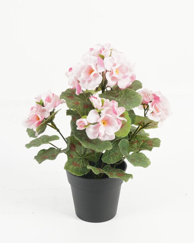 Artificial Flower 22*22*28cm Begonia in PP pot GS-03323011-P1 Potted Flowers&Plants YeahFlower is one of Chinese leading OEM manufacturers and exporters , supplying the silk flowers, wholesale artificial trees
