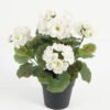 Artificial Flower 22*22*28cm Begonia in PP pot GS-03323011-P1 Potted Flowers&Plants YeahFlower is one of Chinese leading OEM manufacturers and exporters , supplying the silk flowers, wholesale artificial trees