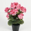 Artificial Flower Begonia in PP pot GS-03323012-P2_4 Artificial Flower 23*23*34cm Begonia in PP pot GS-03323012-P2 Potted Flowers&Plants YeahFlower is one of Chinese leading OEM manufacturers and exporters , supplying the silk flowers, wholesale artificial trees