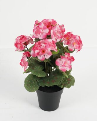 Artificial Flower 23*23*34cm Begonia in PP pot GS-03323012-P2 Potted Flowers&Plants YeahFlower is one of Chinese leading OEM manufacturers and exporters , supplying the silk flowers, wholesale artificial trees