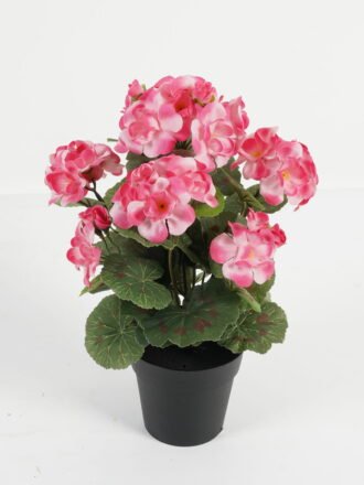 Artificial Flower 23*23*34cm Begonia in PP pot GS-03323012 Potted Flowers&Plants 3,000+ sqm showroom with thousands of artificial flowers, plants & trees ready for global sourcing.
