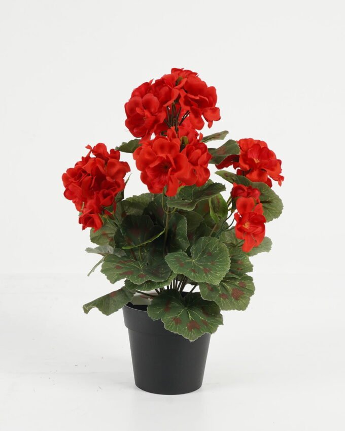 Artificial Flower Begonia in PP pot GS-03323012-P2_5 Artificial Flower 23*23*34cm Begonia in PP pot GS-03323012-P2 Potted Flowers&Plants YeahFlower is one of Chinese leading OEM manufacturers and exporters , supplying the silk flowers, wholesale artificial trees