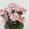 Artificial Flower Begonia in PP pot GS-03323012_2 Artificial Flower 23*23*34cm Begonia in PP pot GS-03323012 Potted Flowers&Plants YeahFlower is one of Chinese leading OEM manufacturers and exporters , supplying the silk flowers, wholesale artificial trees