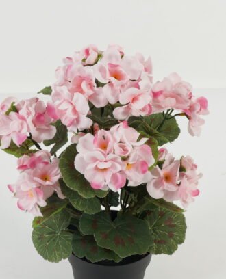 Artificial Flower 23*23*34cm Begonia in PP pot GS-03323012 Potted Flowers&Plants YeahFlower is one of Chinese leading OEM manufacturers and exporters , supplying the silk flowers, wholesale artificial trees