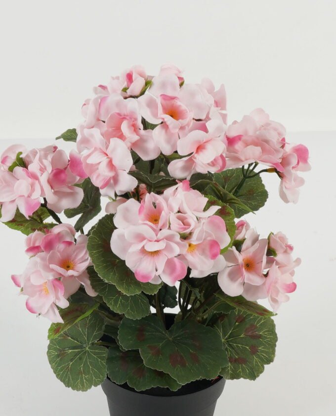 Artificial Flower Begonia in PP pot GS-03323012_2 Artificial Flower 23*23*34cm Begonia in PP pot GS-03323012 Potted Flowers&Plants YeahFlower is one of Chinese leading OEM manufacturers and exporters , supplying the silk flowers, wholesale artificial trees