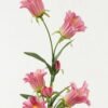 Artificial Flower 12*12*61cm Bellflower *8 single stem GS-16823034-P1 Single Flowers YeahFlower is one of Chinese leading OEM manufacturers and exporters , supplying the silk flowers, wholesale artificial trees