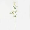 Artificial Flower Bellflower 8 single stem GS-16823034-W1_1 Artificial Flower 12*12*61cm Bellflower *8 single stem GS-16823034-W1 Single Flowers YeahFlower is one of Chinese leading OEM manufacturers and exporters , supplying the silk flowers, wholesale artificial trees