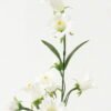 Artificial Flower Bellflower 8 single stem GS-16823034-W1_8 Artificial Flower 12*12*61cm Bellflower *8 single stem GS-16823034-W1 Single Flowers YeahFlower is one of Chinese leading OEM manufacturers and exporters , supplying the silk flowers, wholesale artificial trees