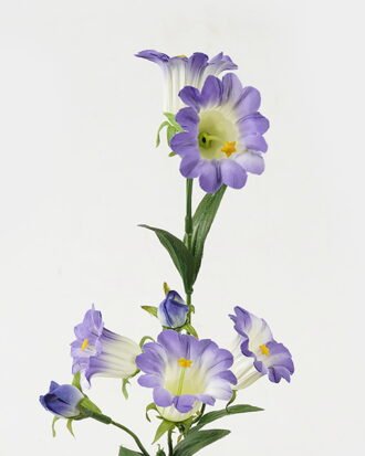 Artificial Flower 12*12*61cm Bellflower *8 single stem GS-16823034-Z1 Single Flowers YeahFlower is one of Chinese leading OEM manufacturers and exporters , supplying the silk flowers, wholesale artificial trees Artificial Flower 12*12*61cm Bellflower *8 single stem GS-16823034-Z1 Single Flowers YeahFlower is one of Chinese leading OEM manufacturers and exporters , supplying the silk flowers, wholesale artificial trees