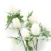 Artificial Flower Bur 17 single stem GS-45023013-W1_6 Artificial Flower 15*15*71cm Bur *17 single stem GS-45023013-W1 Single Flowers YeahFlower is one of Chinese leading OEM manufacturers and exporters , supplying the silk flowers, wholesale artificial trees