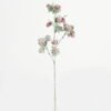 Artificial Flower 15*15*71cm Bur *17 single stem GS-45023013 Single Flowers YeahFlower is one of Chinese leading OEM manufacturers and exporters , supplying the silk flowers, wholesale artificial trees