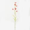 Artificial Flower Canterburybells 6 single stem GS-53623010-R1_8 Artificial Flower 15*15*70cm Canterburybells *6 single stem GS-53623010-R1 Single Flowers YeahFlower is one of Chinese leading OEM manufacturers and exporters , supplying the silk flowers, wholesale artificial trees
