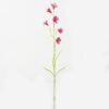 Artificial Flower Canterburybells 6 single stem GS-53623010-R2_1 Artificial Flower 15*15*70cm Canterburybells *6 single stem GS-53623010-R2 Single Flowers YeahFlower is one of Chinese leading OEM manufacturers and exporters , supplying the silk flowers, wholesale artificial trees
