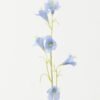 Artificial Flower Canterburybells 6 single stem GS-53623010_2 Artificial Flower 15*15*70cm Canterburybells *6 single stem GS-53623010 Single Flowers YeahFlower is one of Chinese leading OEM manufacturers and exporters , supplying the silk flowers, wholesale artificial trees