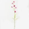 Artificial Flower Canterburybells 6 single stem GS-53623010_6 Artificial Flower 15*15*70cm Canterburybells *6 single stem GS-53623010 Single Flowers YeahFlower is one of Chinese leading OEM manufacturers and exporters , supplying the silk flowers, wholesale artificial trees