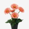 Artificial Flower Chrysanthemum 5 in PP pot GS-05523004KIK_5 Artificial Flower 20*20*28cm Chrysanthemum *5 in PP pot GS-05523004KIK Potted Flowers&Plants YeahFlower is one of Chinese leading OEM manufacturers and exporters , supplying the silk flowers, wholesale artificial trees