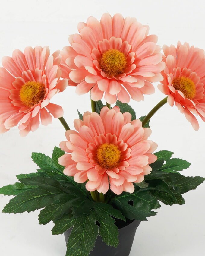 Artificial Flower Chrysanthemum 5 in PP pot GS-05523004KIK_7 Artificial Flower 20*20*28cm Chrysanthemum *5 in PP pot GS-05523004KIK Potted Flowers&Plants YeahFlower is one of Chinese leading OEM manufacturers and exporters , supplying the silk flowers, wholesale artificial trees