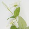 Artificial Flower 15*15*70cm Clematis *2 single stem GS-53623023-W1 Single Flowers YeahFlower is one of Chinese leading OEM manufacturers and exporters , supplying the silk flowers, wholesale artificial trees